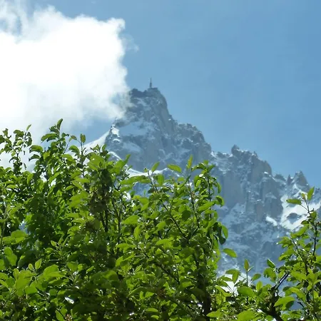 호텔 Aiguille Du Midi - & Restaurant 3*