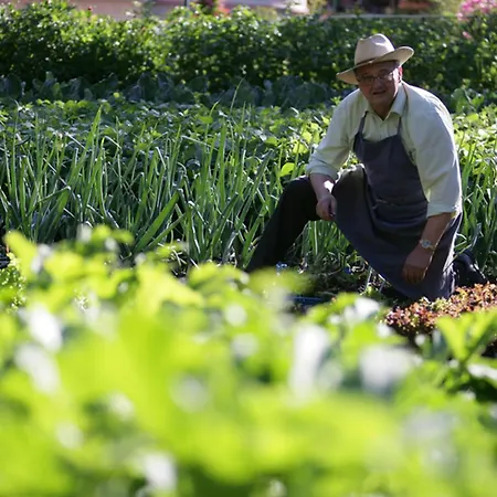 Aiguille Du Midi - & Restaurant Chamonix