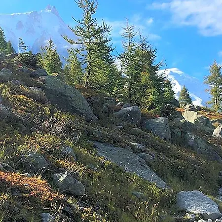 فندق Aiguille Du Midi - & Restaurant شامونكس