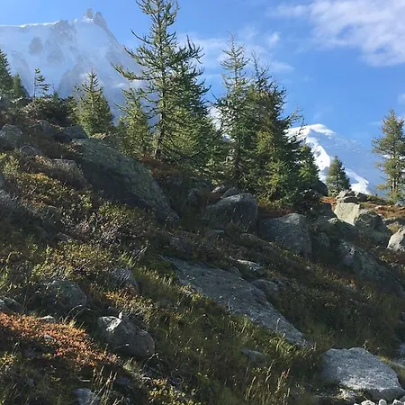 Ξενοδοχείο Aiguille Du Midi - & Restaurant 3*