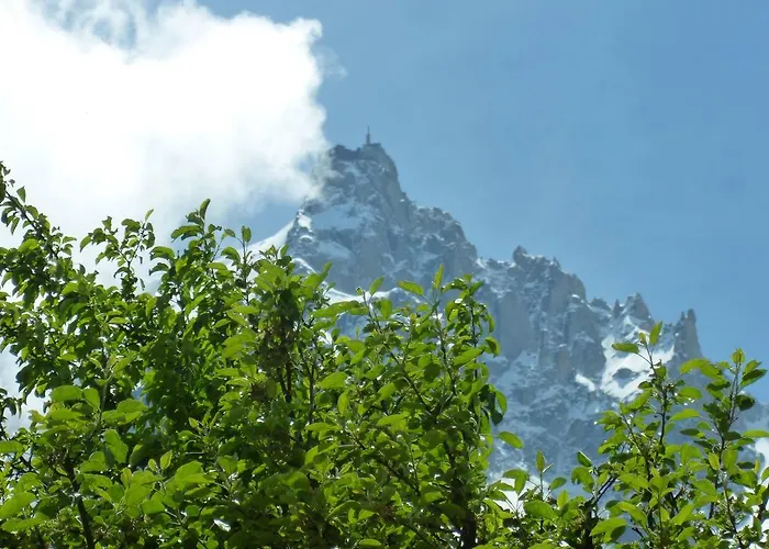 Otel Aiguille Du Midi - & Restaurant 3*