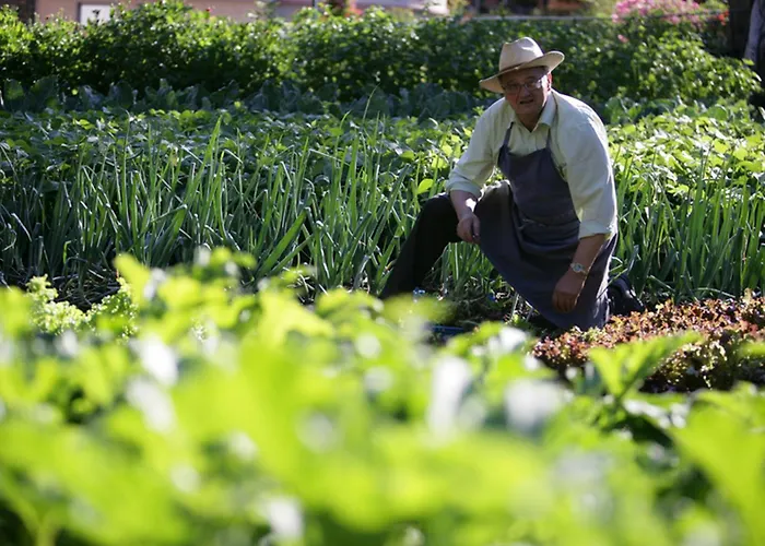 Aiguille Du Midi - & Restaurant Chamonix